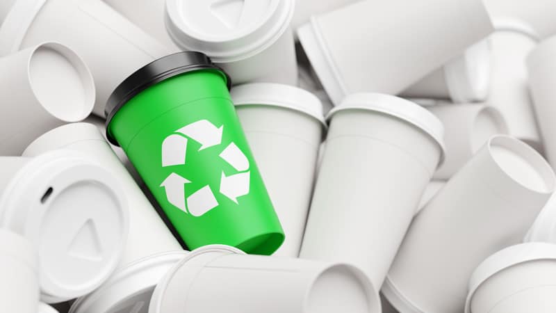 Fotografía real ilustrativa para la guía práctica sobre si un producto es biodegradable en Revista YO CANCÚN, mostrando empaques ecológicos y sustentables en Quintana Roo.