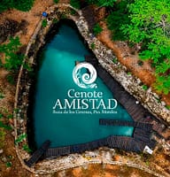 Fotografía real de las aguas cristalinas y el entorno de selva maya en el Cenote Amistad, ubicado en la Ruta de los Cenotes, Quintana Roo.